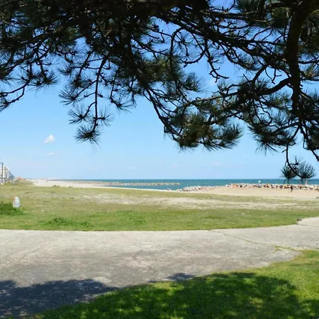 Apartment Saint-cyprien, 1 Piece, 4 Personnes - Fr-1-225d-159 *