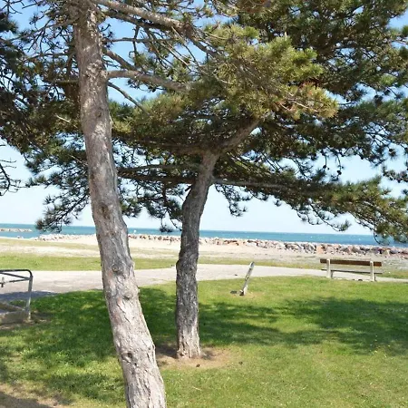 Apartment Saint-cyprien, 1 Piece, 4 Personnes - Fr-1-225d-159 *